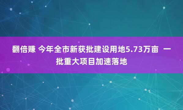 翻倍赚 今年全市新获批建设用地5.73万亩  一批重大项目加速落地