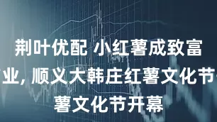 荆叶优配 小红薯成致富大产业, 顺义大韩庄红薯文化节开幕