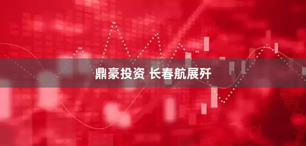 鼎豪投资 长春航展歼