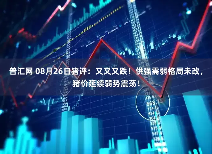 普汇网 08月26日猪评：又又又跌！供强需弱格局未改，猪价延续弱势震荡！